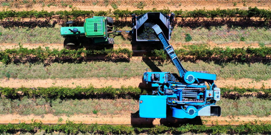 High Plains Harvest Update – September 2019