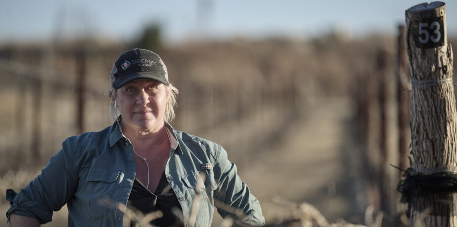 Every Hour is Golden Hour in the Estate Vineyard