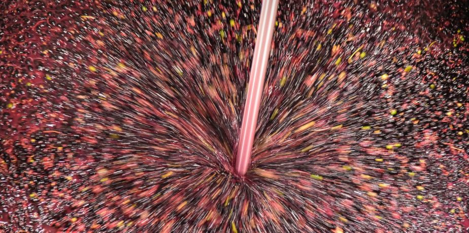 100% Texas Wine Labeling – Now Where Do We Go?